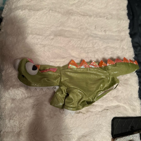 Dog Dragon Costume - Picture 1 of 5